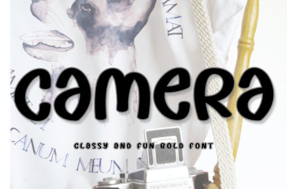 Camera: A Handwritten Font That Elevates Campaign Typography