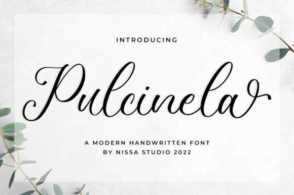 Elegance in Every Letter: Exploring the Pulcinela Handwritten Font