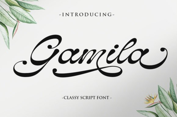 How Gamila Font Transformed Our Campaign Visuals with Style and Clarity