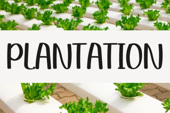 Plantation: A Modern Handwritten Font for Digital Branding